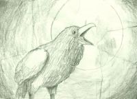 Raven Torn